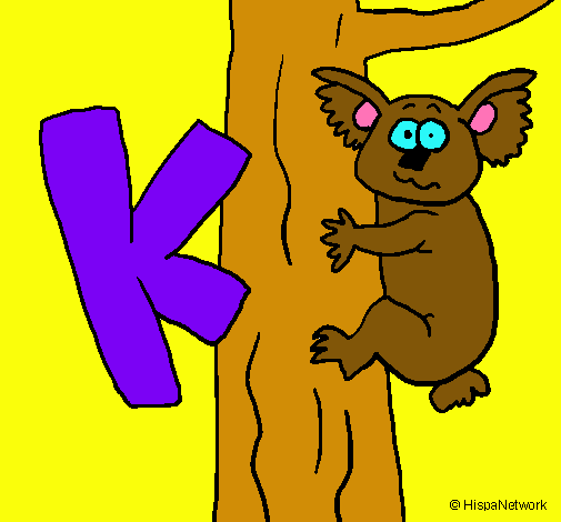 Koala