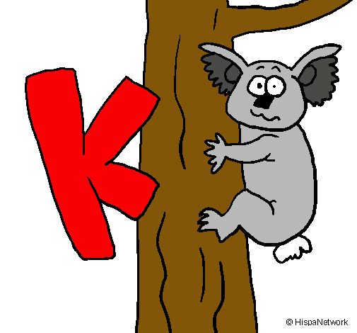 Koala