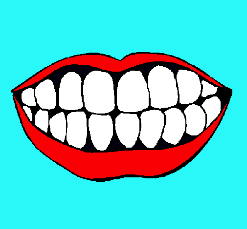 Boca y dientes