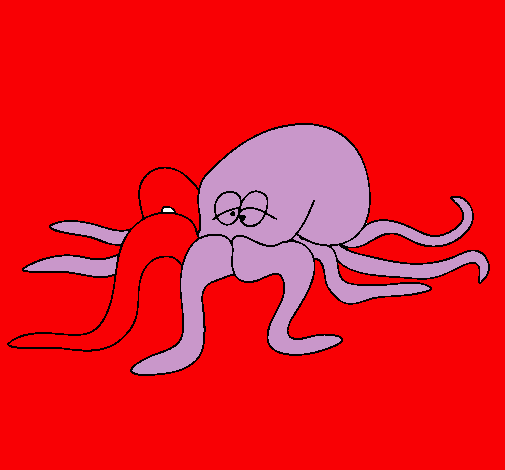 Pulpo