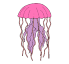 Dibujo Medusa pintado por marina