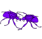 Dibujo Escarabajos pintado por uyalochora