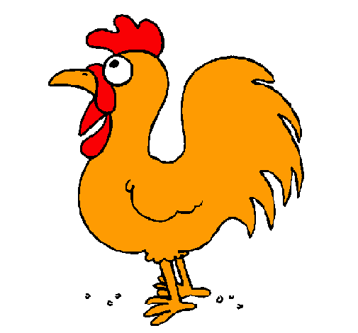 Gallo de granja