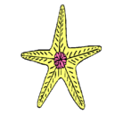 Dibujo Estrella de mar pintado por ANALUCIA