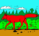 Dibujo Coyote pintado por buzzlightyear