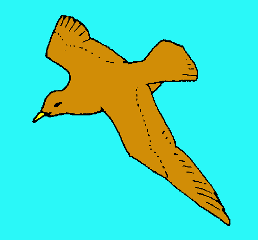 Gaviota