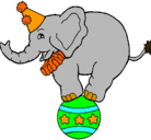 Dibujo Elefante encima de una pelota pintado por yoel