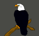 Dibujo Águila en una rama pintado por Rays