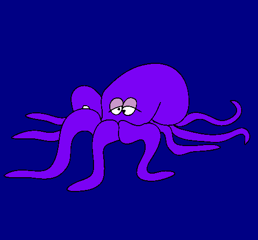 Pulpo