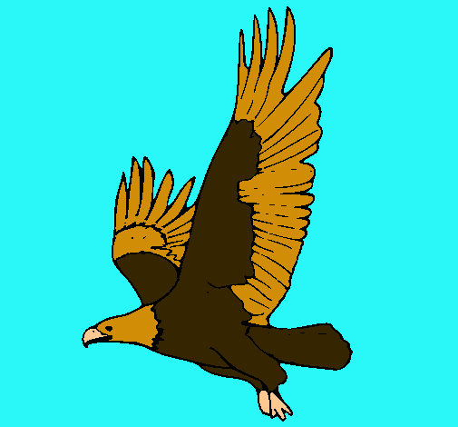 Águila volando