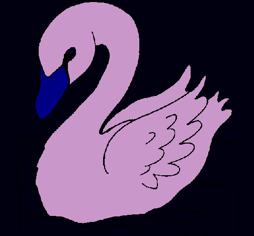 Cisne