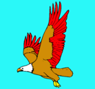 Dibujo Águila volando pintado por Ricardo
