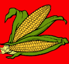 Dibujo Mazorca de maíz pintado por lara
