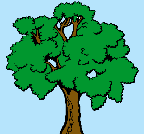 Árbol