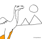 Dibujo Camello pintado por gomez