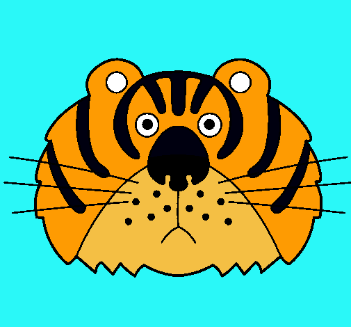 Tigre III