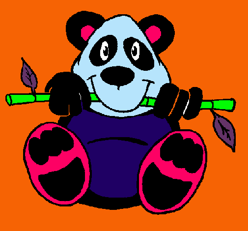 Oso panda