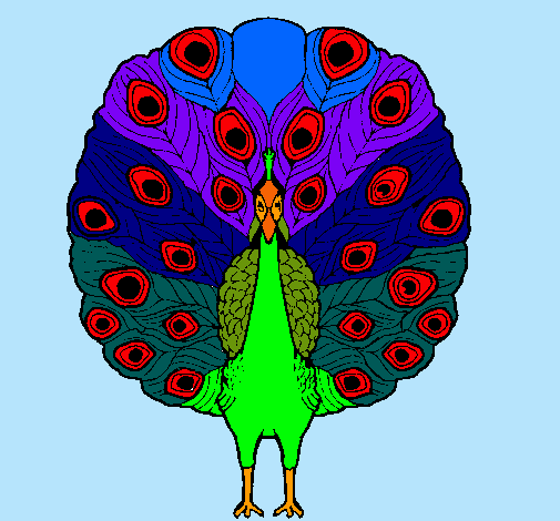 Pavo real