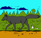 Dibujo Coyote pintado por denmis