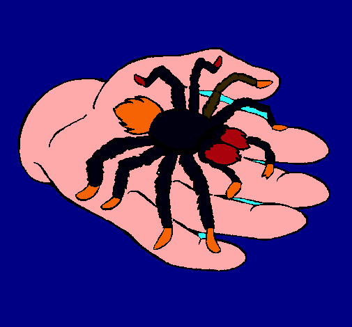 Tarántula