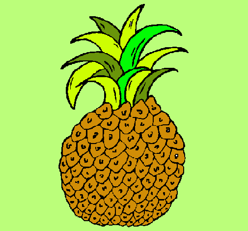 piña