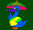 Dibujo Pato bajo la lluvia pintado por matias