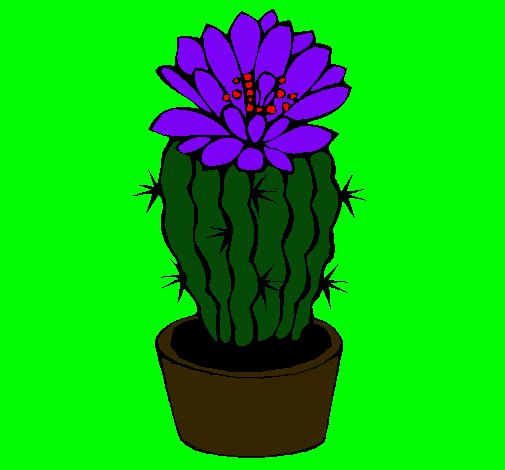 Cactus con flor