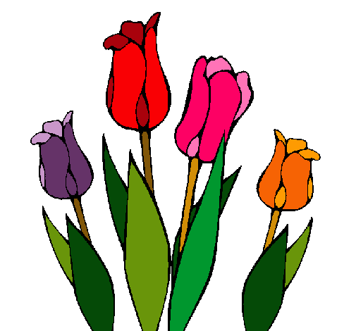 Tulipanes