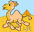 Dibujo Camello pintado por amarilis