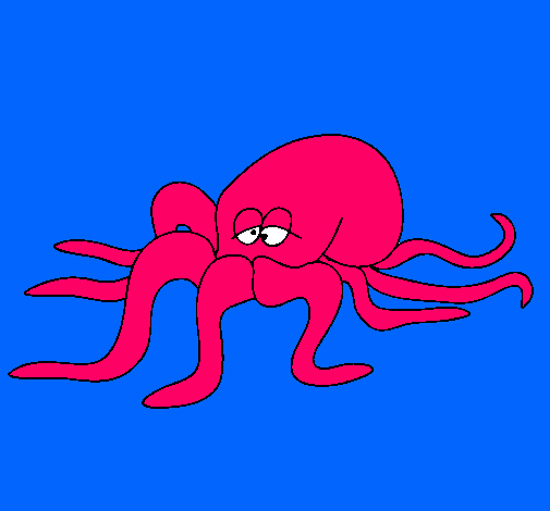 Pulpo