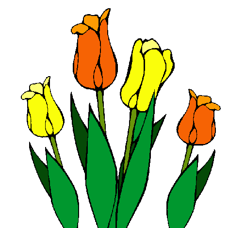 Tulipanes