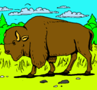 Dibujo Búfalo  pintado por camila