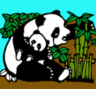 Dibujo Mama panda pintado por po