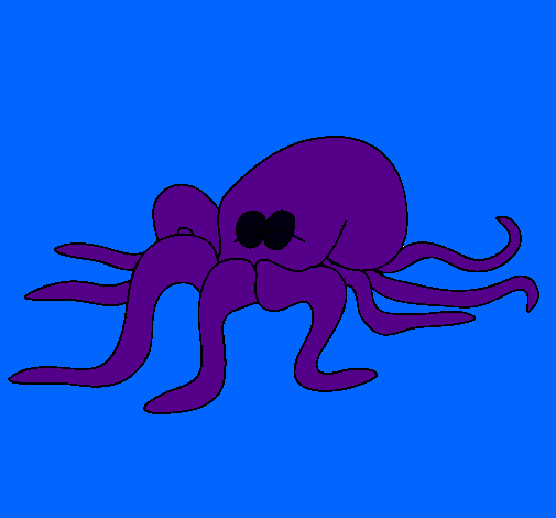 Pulpo