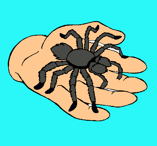 Tarántula