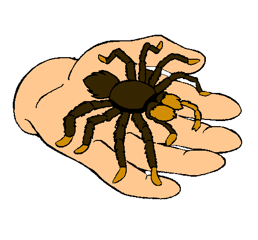 Tarántula