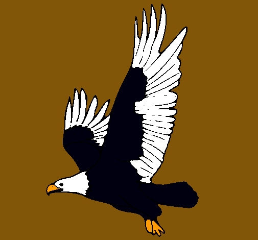 Águila volando