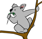 Dibujo Koala pintado por becaD