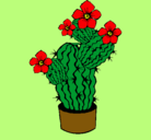 Dibujo Flores de cactus pintado por EVAAYALA