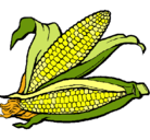 Dibujo Mazorca de maíz pintado por titi