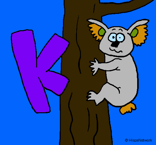 Koala