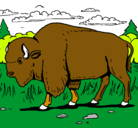 Dibujo Búfalo  pintado por yael