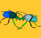 Dibujo Escarabajos pintado por joseramon