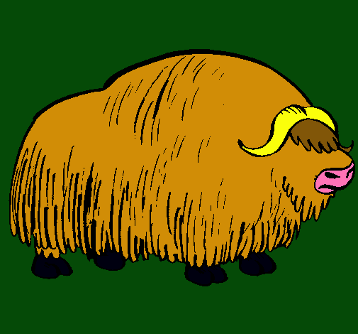 Bisonte