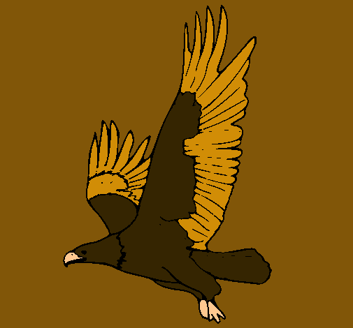 Águila volando