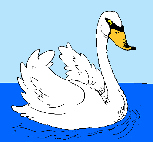 Cisne en el agua