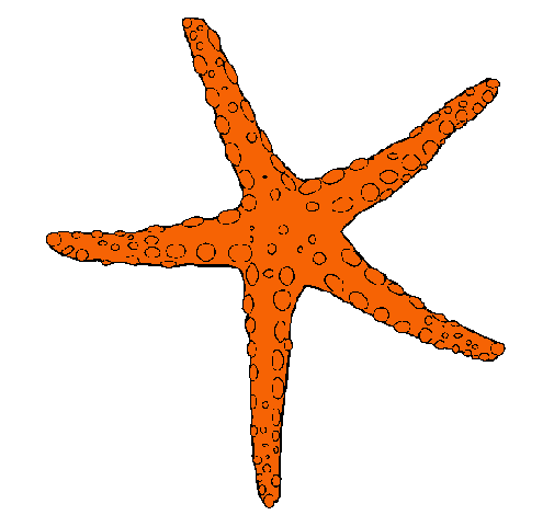 Estrellita de mar