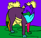 Dibujo Lobo pintado por joseramon