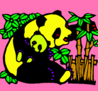 Dibujo Mama panda pintado por alejandra