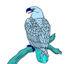 Dibujo Águila en una rama pintado por Flor